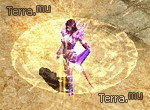 http://www.terra.mu/images/guide/characters/su/skill_reflection.gif